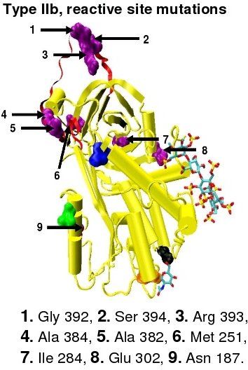 File:Active site mutations.jpeg