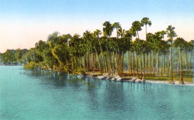 File:Lowlands Along the St. Johns River.jpg