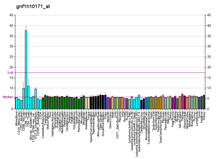 File:PBB GE P2RY8 gnf1h10171 at fs.png