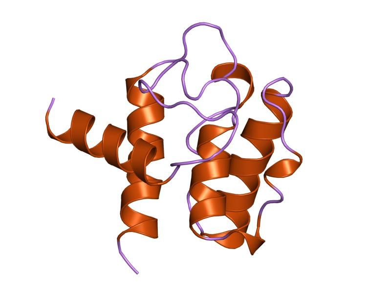 File:PDB 1aa2 EBI.jpg