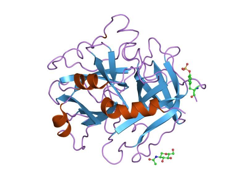 File:PDB 1hag EBI.jpg