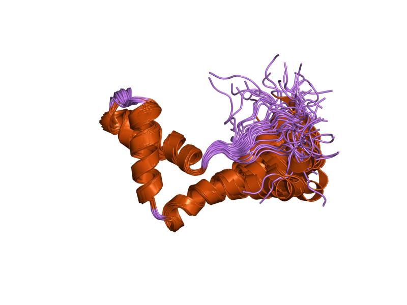 File:PDB 1hmf EBI.jpg