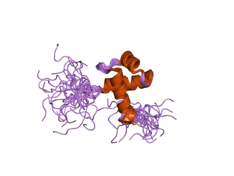 File:PDB 1ity EBI.jpg