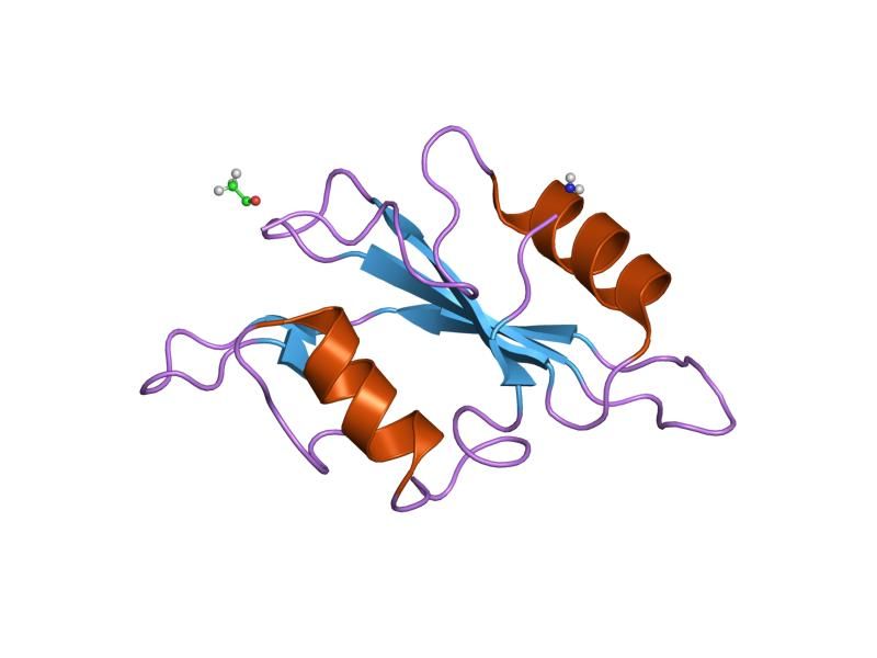 File:PDB 1luk EBI.jpg