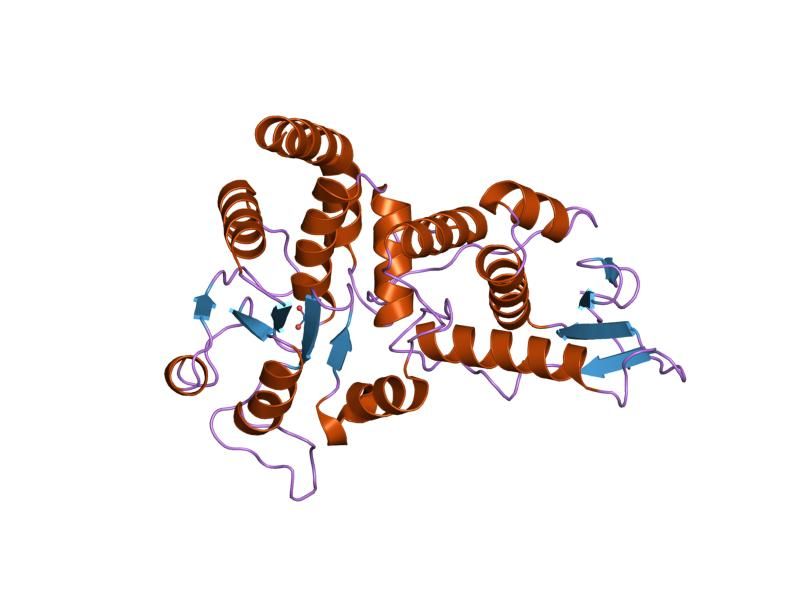 File:PDB 1ohd EBI.jpg