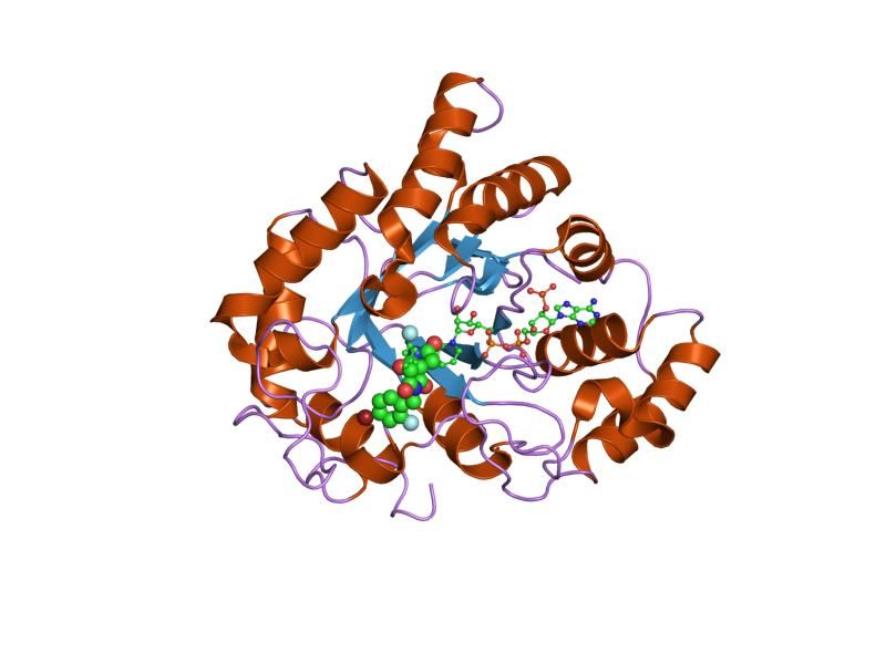 File:PDB 1pwl EBI.jpg