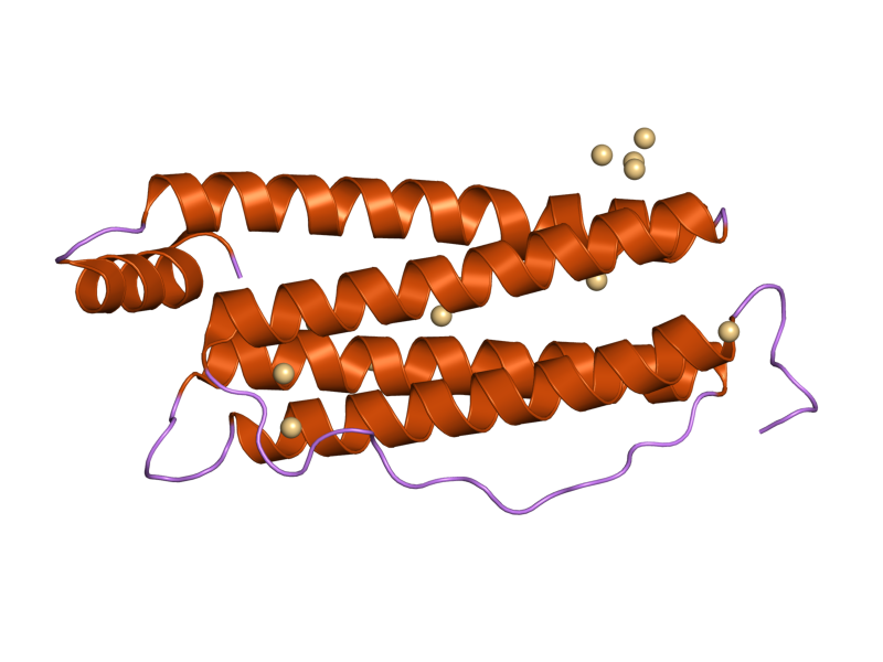 File:PDB 2fg4 EBI.png