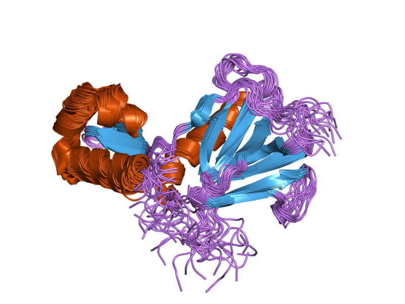 File:PDB 2rnr EBI.png