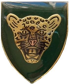 File:SADF 10 SAI emblem.jpg