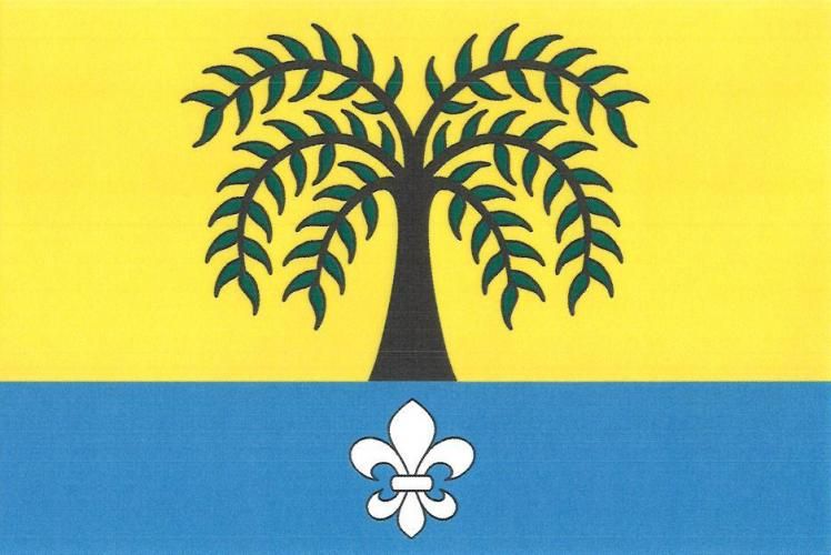 File:Vrbno nad Lesy Flag.jpg