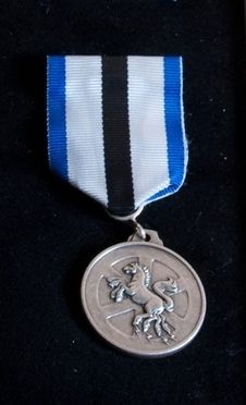 File:AM.095917 (medalj).jpg