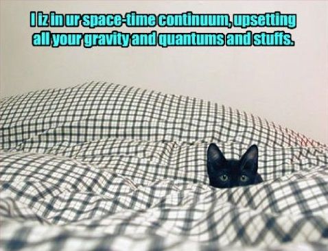 File:NSA quantum cat.jpg