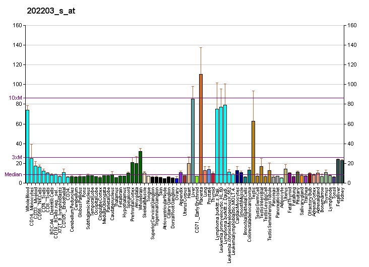 File:PBB GE AMFR 202203 s at fs.png