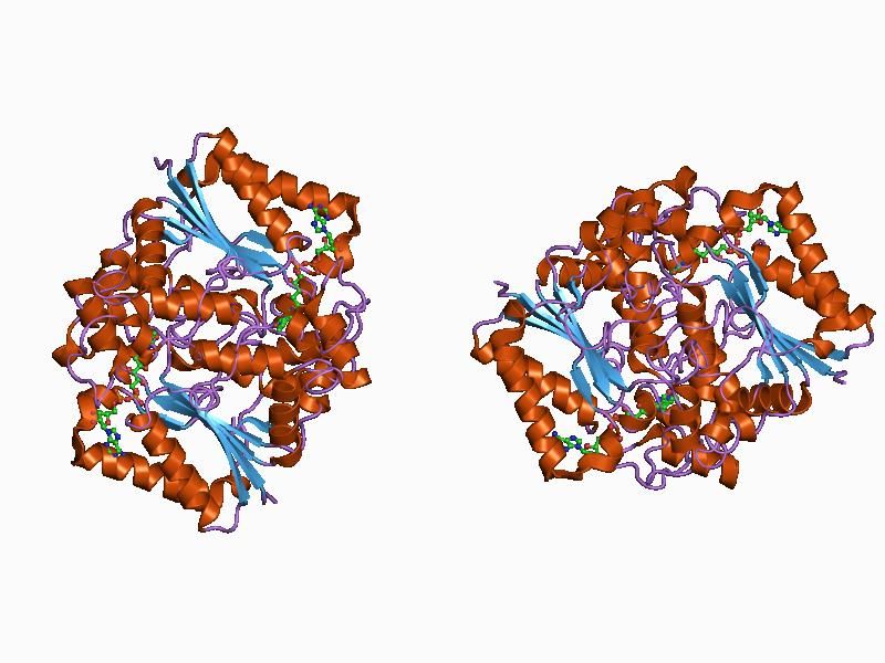 File:PDB 1d4a EBI.jpg