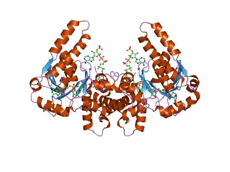 File:PDB 1f0y EBI.jpg