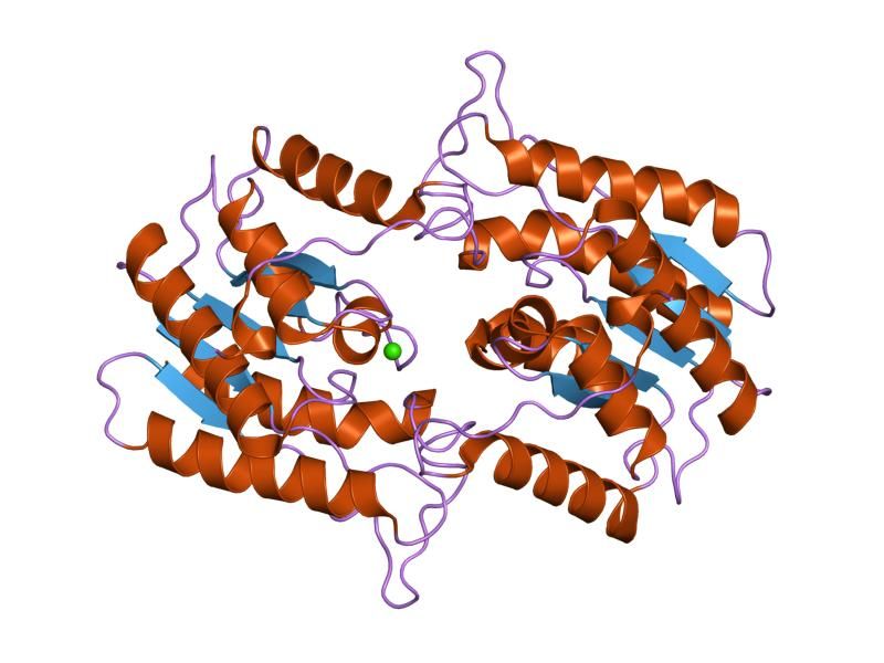 File:PDB 1fxw EBI.jpg