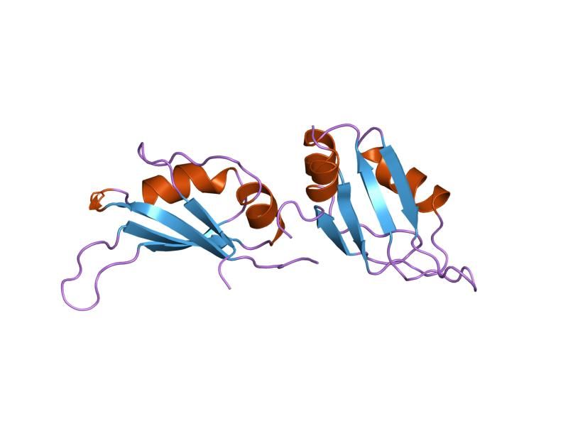 File:PDB 1ha1 EBI.jpg