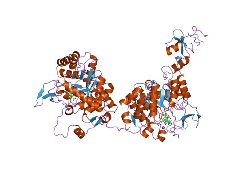 File:PDB 1jr1 EBI.jpg