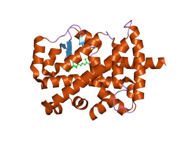 File:PDB 1n4h EBI.jpg