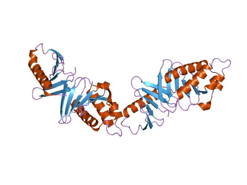 File:PDB 1q4o EBI.jpg