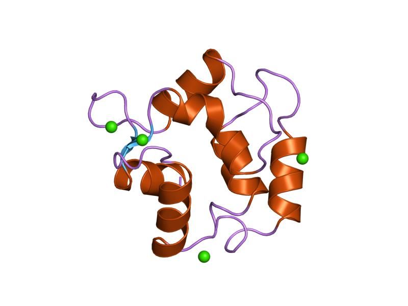 File:PDB 1rro EBI.jpg