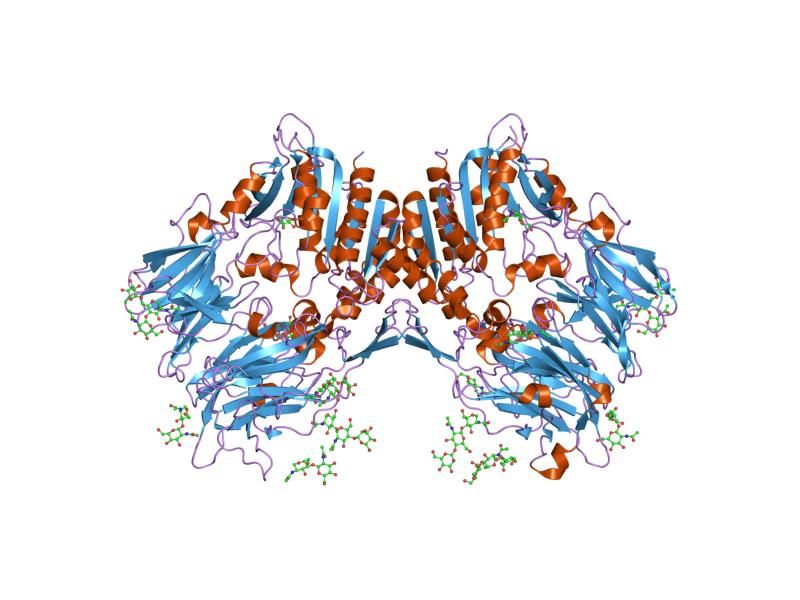 File:PDB 1u8e EBI.jpg