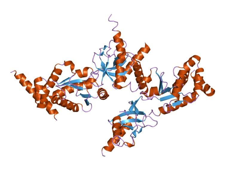 File:PDB 1vyt EBI.jpg