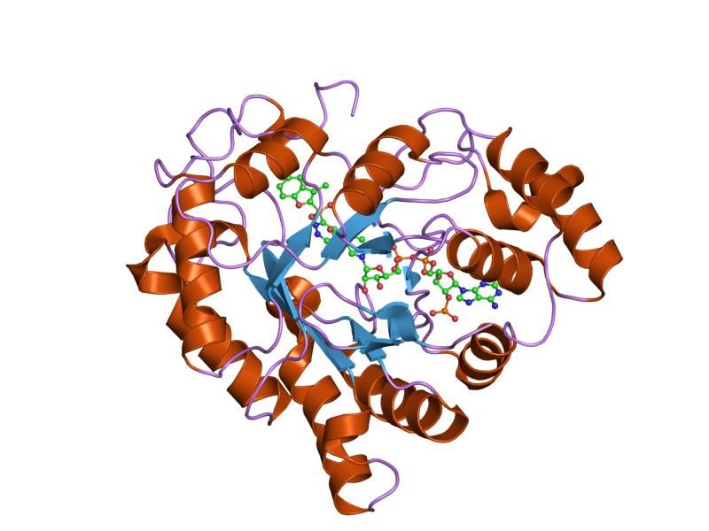 File:PDB 1z89 EBI.jpg