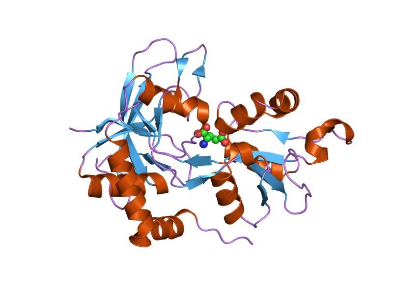 File:PDB 2a5s EBI.jpg