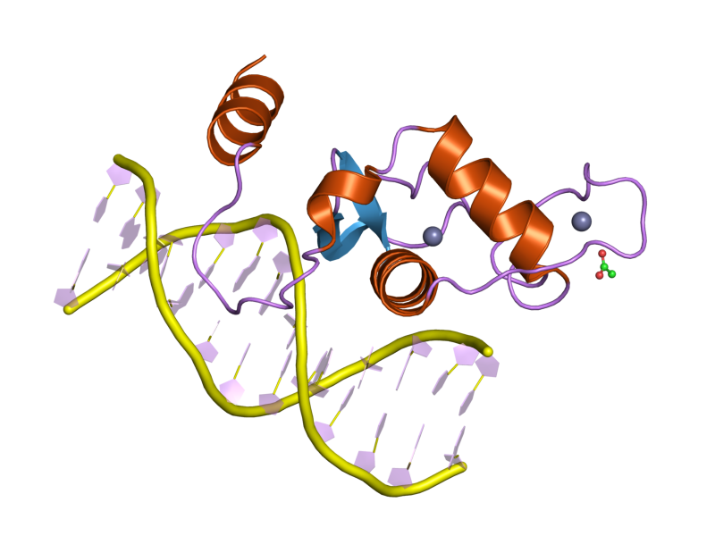 File:PDB 2a66 EBI.png