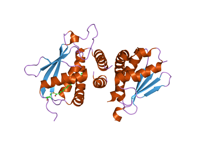 File:PDB 2c0j EBI.png