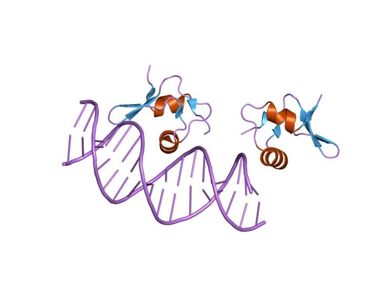 File:PDB 2og0 EBI.jpg