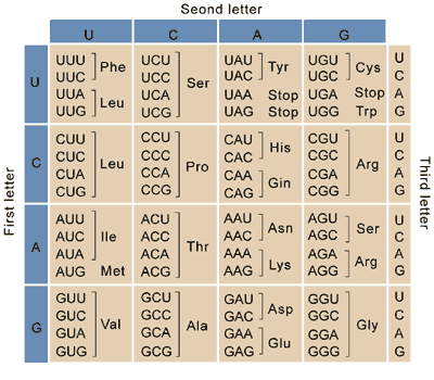 File:06 chart pu3.png