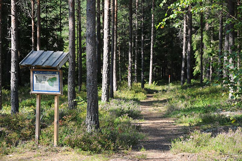 File:Berga Kulle naturskyddsområde Nyköping.jpg