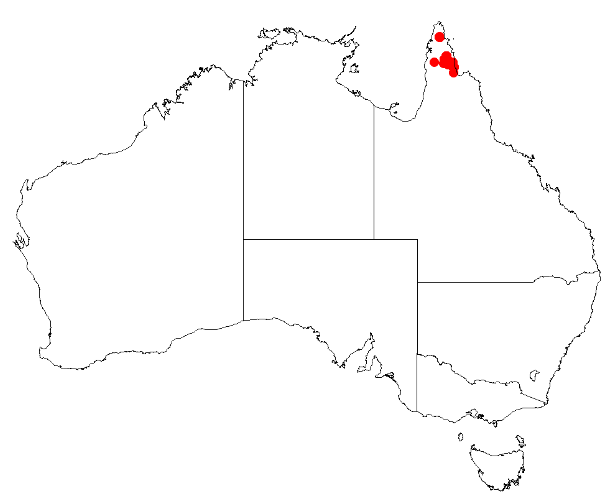 File:Boronia squamipetala DistMap114.png