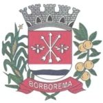 File:Brasao borborema.jpg