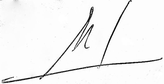 File:Firma de Manuel Rodriguez Lopez.jpg