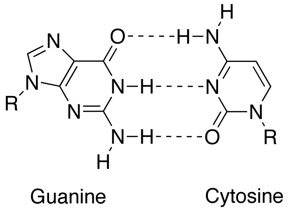 File:GC base pair jypx3.png