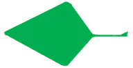 File:Leaf morphology trullate.png