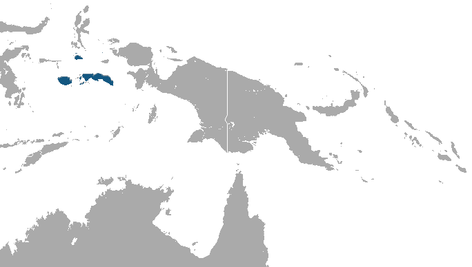 File:Moluccan Flying Fox area.png