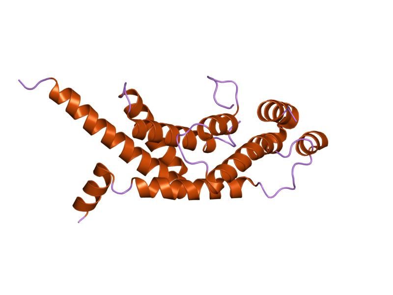 File:PDB 1h6o EBI.jpg