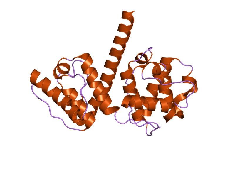 File:PDB 1mb8 EBI.jpg