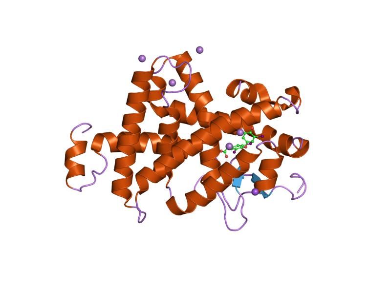 File:PDB 1nq2 EBI.jpg