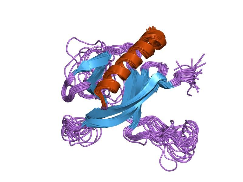 File:PDB 1p6s EBI.jpg