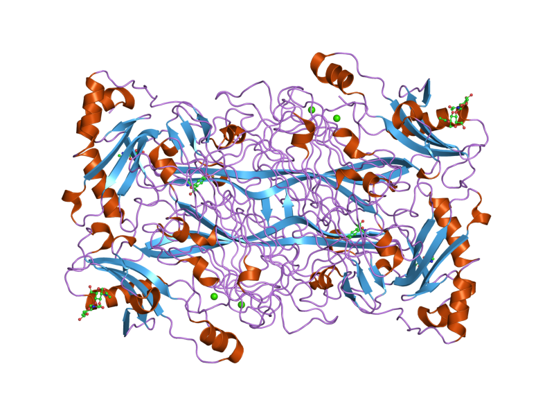 File:PDB 1us1 EBI.png