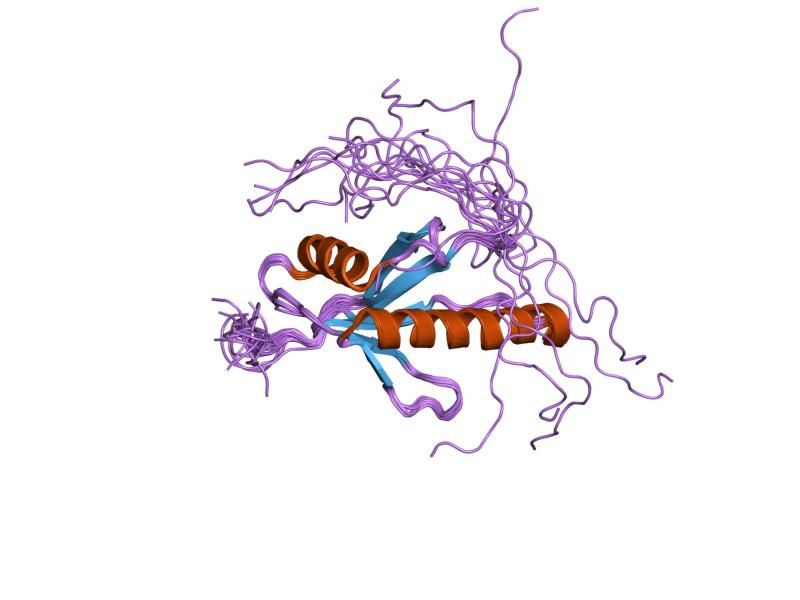 File:PDB 1wi0 EBI.jpg