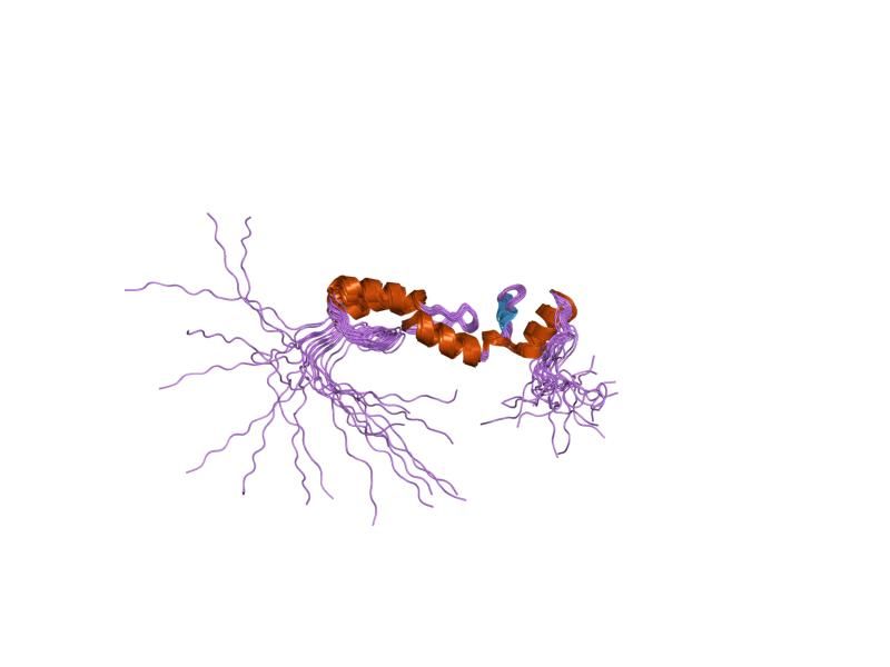 File:PDB 1wjp EBI.jpg