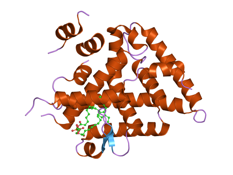 File:PDB 1yok EBI.png