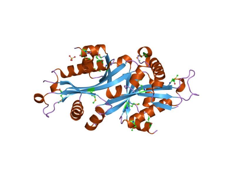 File:PDB 2b3u EBI.jpg