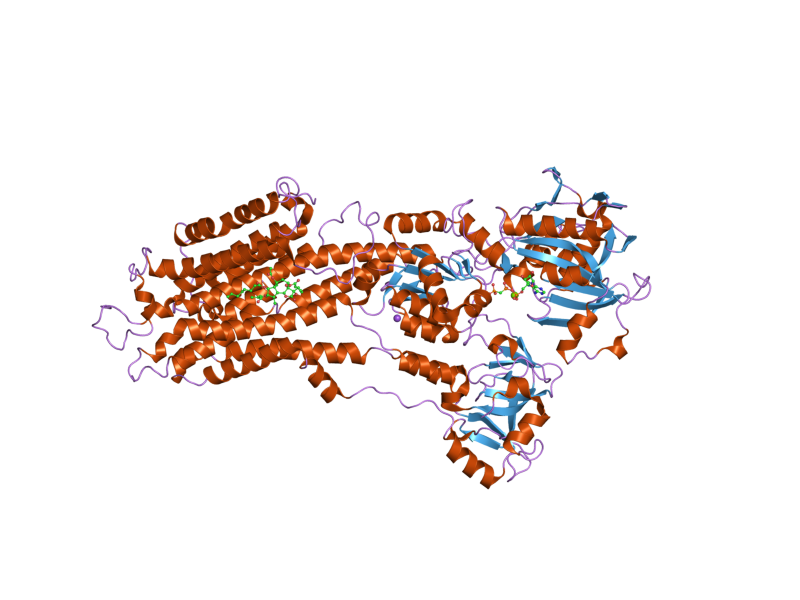 File:PDB 2c8k EBI.png